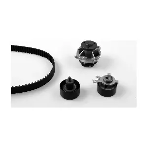 PK02361 HEPU