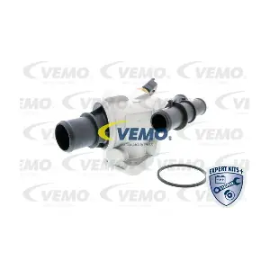 V24-99-0029 VEMO