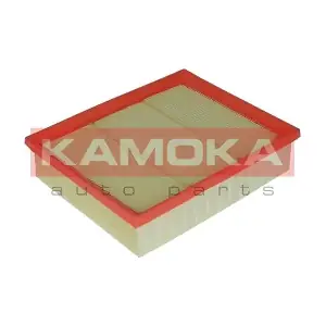 F219801 KAMOKA