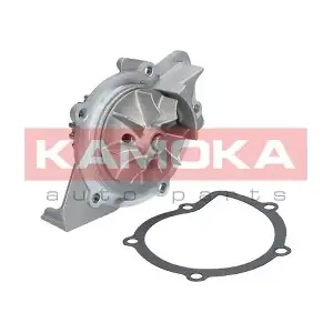 T0091 KAMOKA