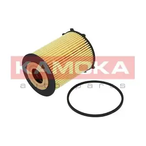 F110401 KAMOKA
