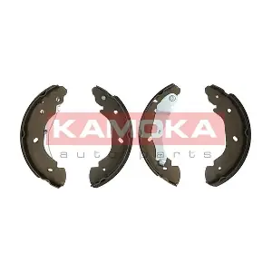 JQ202033 KAMOKA