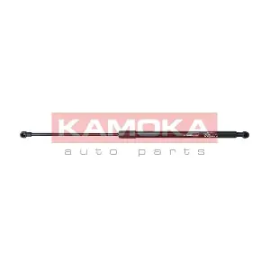 7092091 KAMOKA