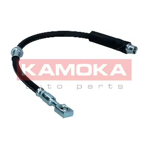 1170239 KAMOKA