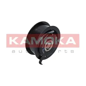 R0117 KAMOKA