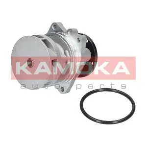 T0059 KAMOKA