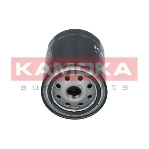 F104601 KAMOKA