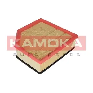 F232201 KAMOKA