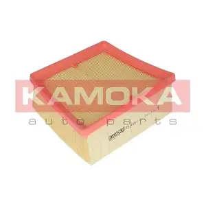 F231001 KAMOKA