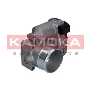 112009 KAMOKA
