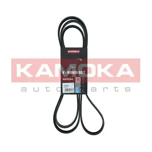 7016221 KAMOKA