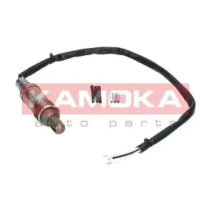 17003 KAMOKA