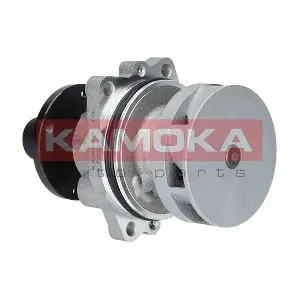T0058 KAMOKA