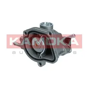 7710167 KAMOKA