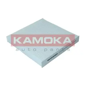 F419901 KAMOKA