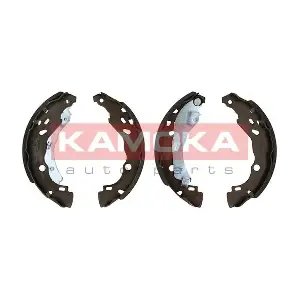 JQ202045 KAMOKA