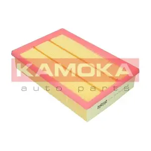 F212401 KAMOKA