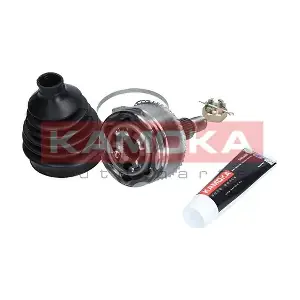 6011 KAMOKA