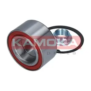 5600079 KAMOKA