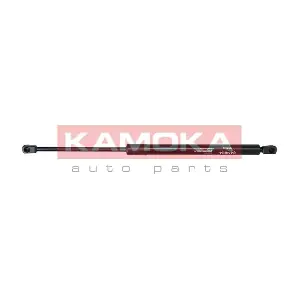 7092309 KAMOKA