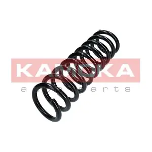 2120316 KAMOKA