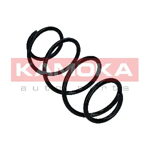 2110736 KAMOKA
