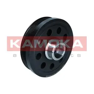 RW081 KAMOKA