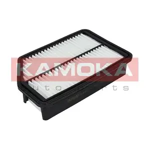 F226301 KAMOKA