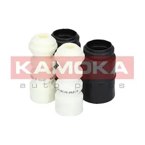 2019021 KAMOKA