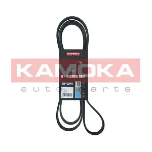 7016197 KAMOKA
