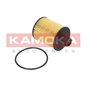 F111701 KAMOKA