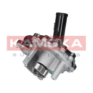 T0096 KAMOKA
