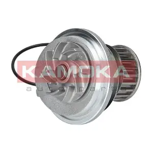 T0228 KAMOKA