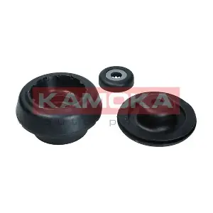 209031 KAMOKA