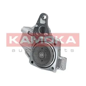 T0239 KAMOKA