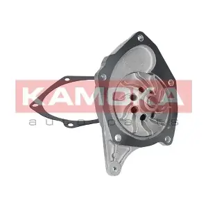 T0103 KAMOKA