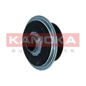 209310 KAMOKA