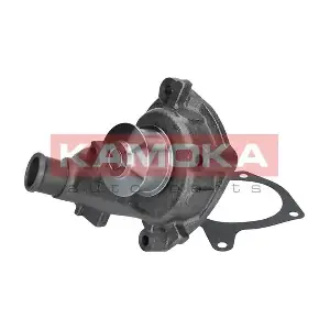 T0140 KAMOKA