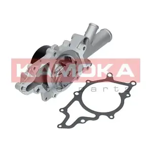 T0196 KAMOKA
