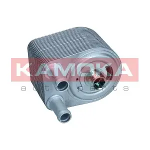 7730162 KAMOKA