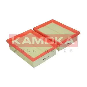F206601 KAMOKA