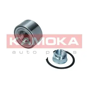 5600137 KAMOKA