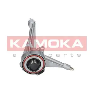 CC003 KAMOKA
