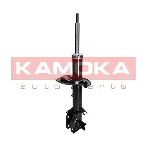 2000220 KAMOKA