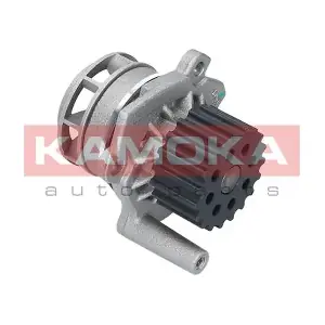 T0020 KAMOKA
