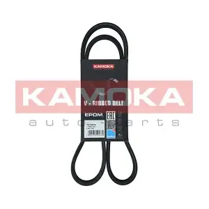 7016076 KAMOKA