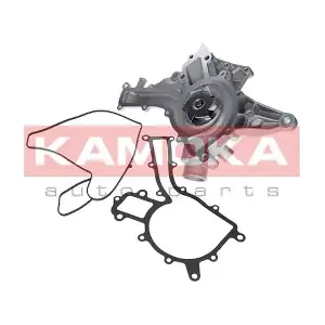 T0188 KAMOKA