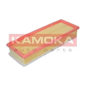 F202501 KAMOKA