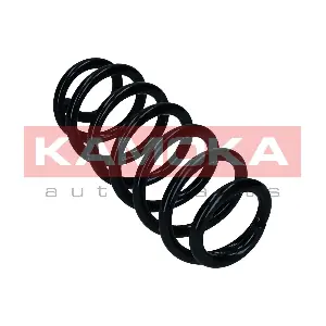 2120605 KAMOKA