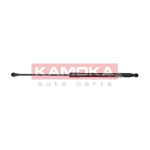 7092020 KAMOKA
